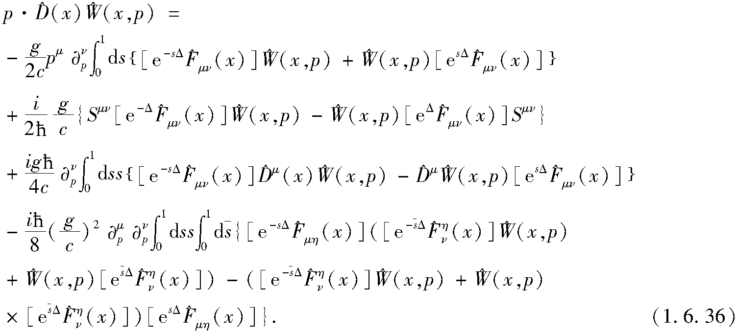 1.6.3 QGP的量子動(dòng)力論